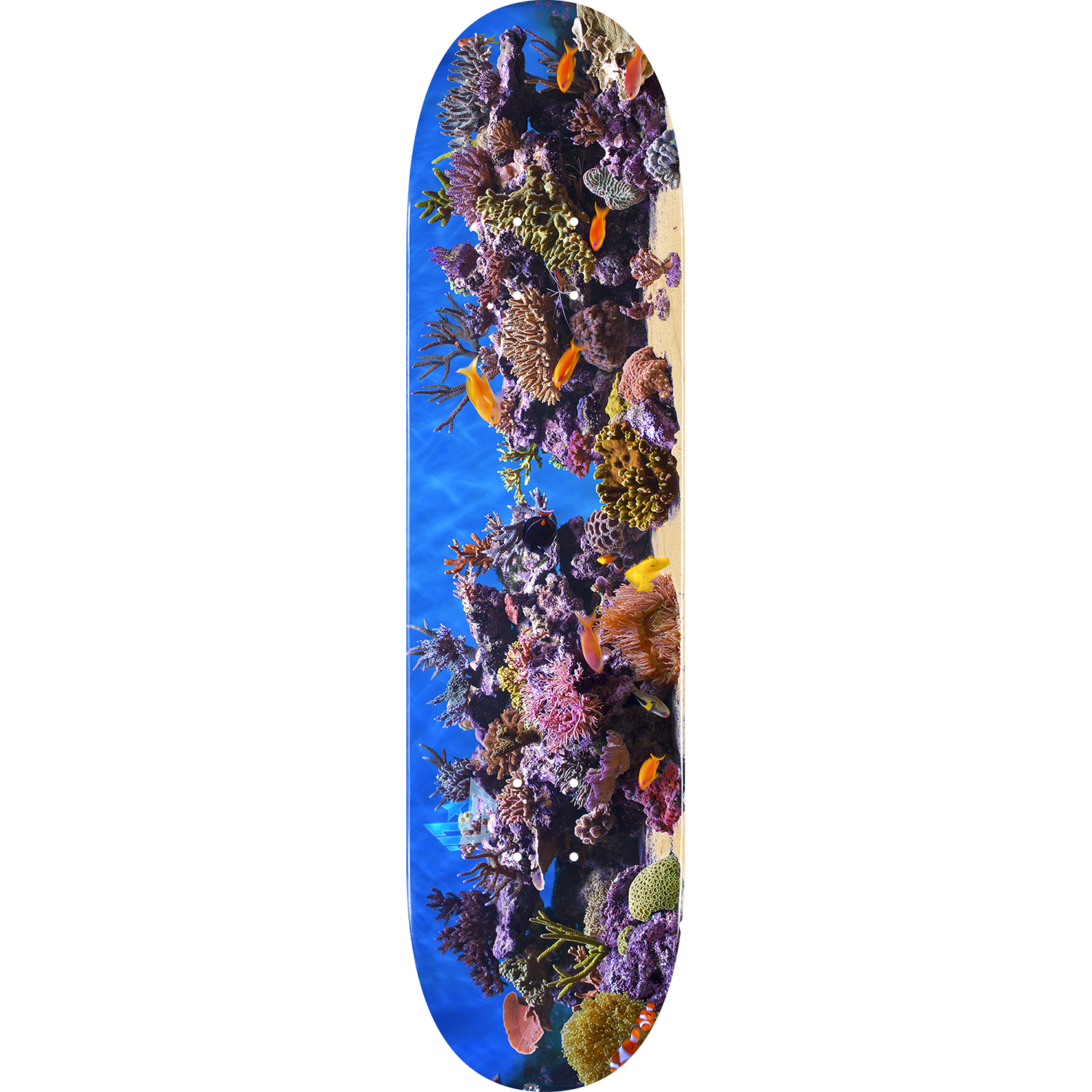 Mini Logo Fish Tank Skateboard Deck