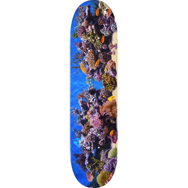 Mini Logo Fish Tank Skateboard Deck